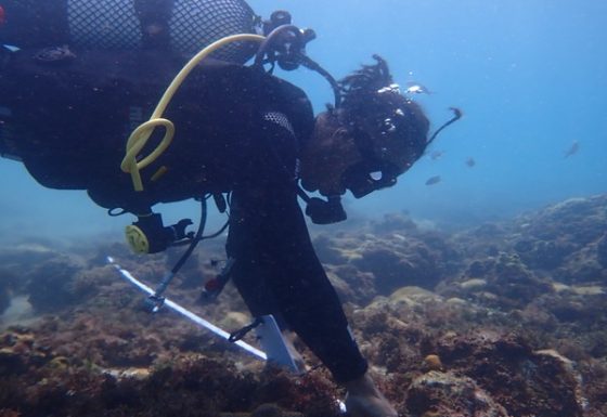 Conservação de Áreas Marinhas Protegidas