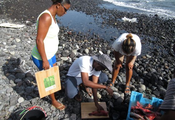 GESTÃO COMUNITÁRIA DAS PESCAS NA ILHA DE SANTO ANTÃO