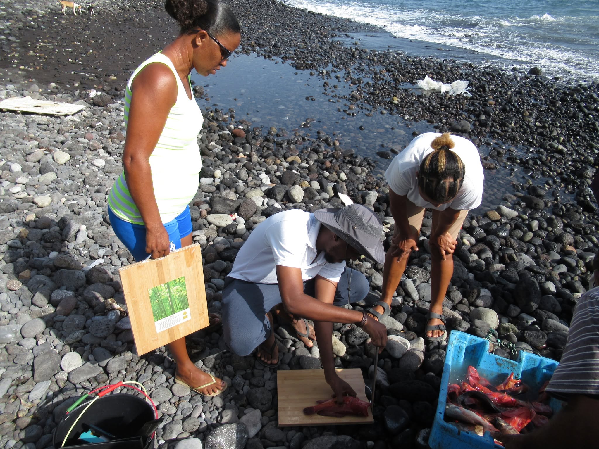 GESTÃO COMUNITÁRIA DAS PESCAS NA ILHA DE SANTO ANTÃO